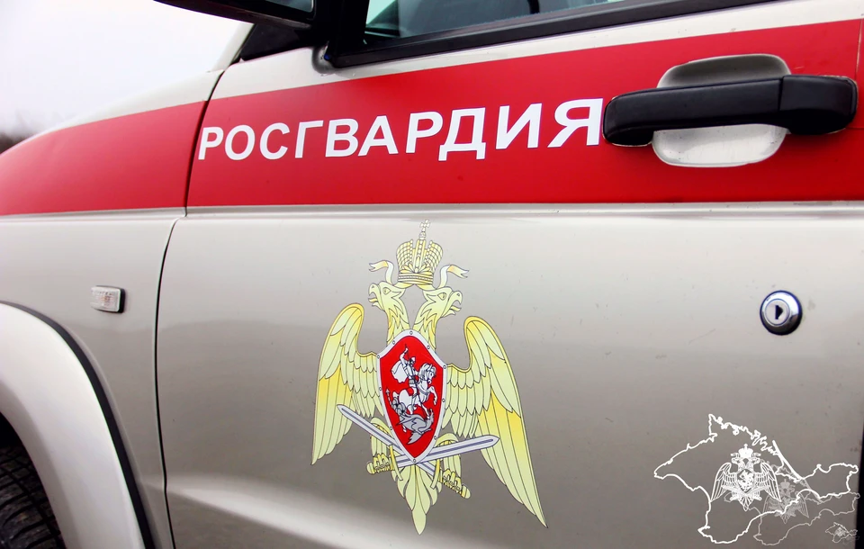Правонарушителя задержали. Фото: 82.rosguard.gov.ru
