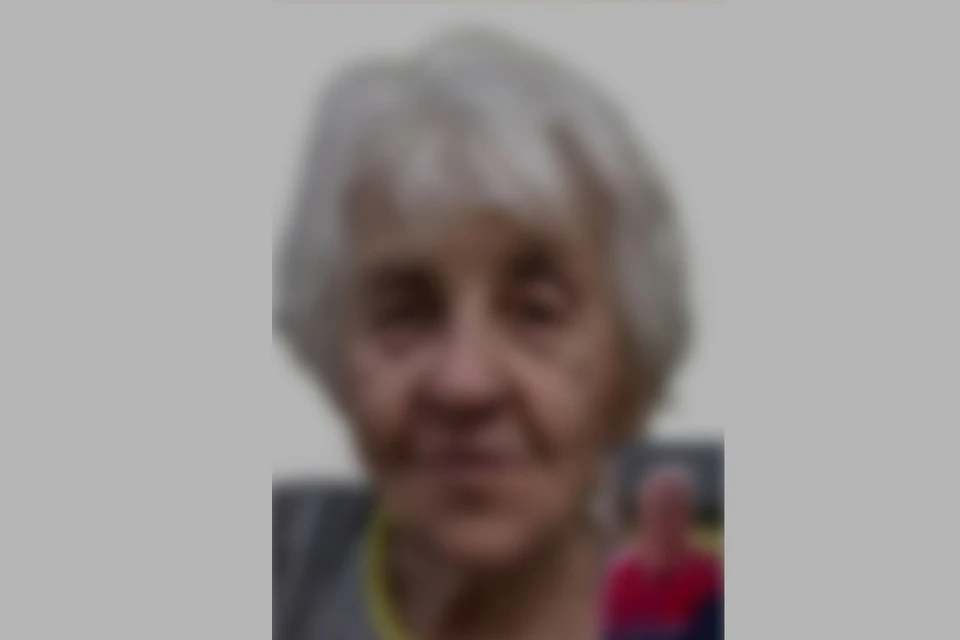 В Новосибирске завершены поиски 83-летней пенсионерки с потерей памяти. Фото: Фото: ДПСО «ЛизаАлерт» по Новосибирской области