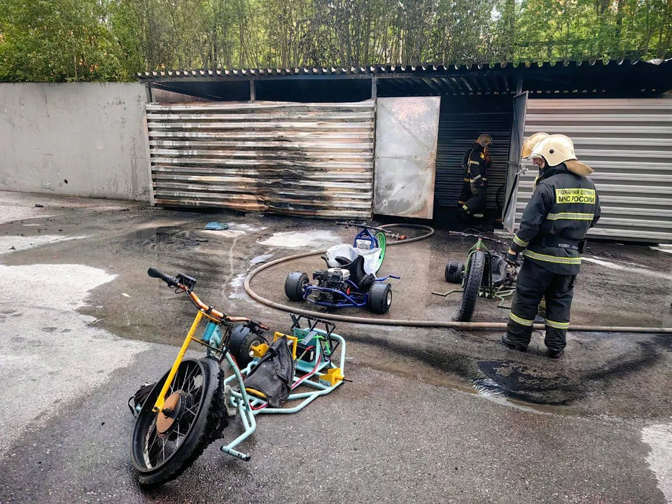 Фото предоставлено Михаилом Котельниковым