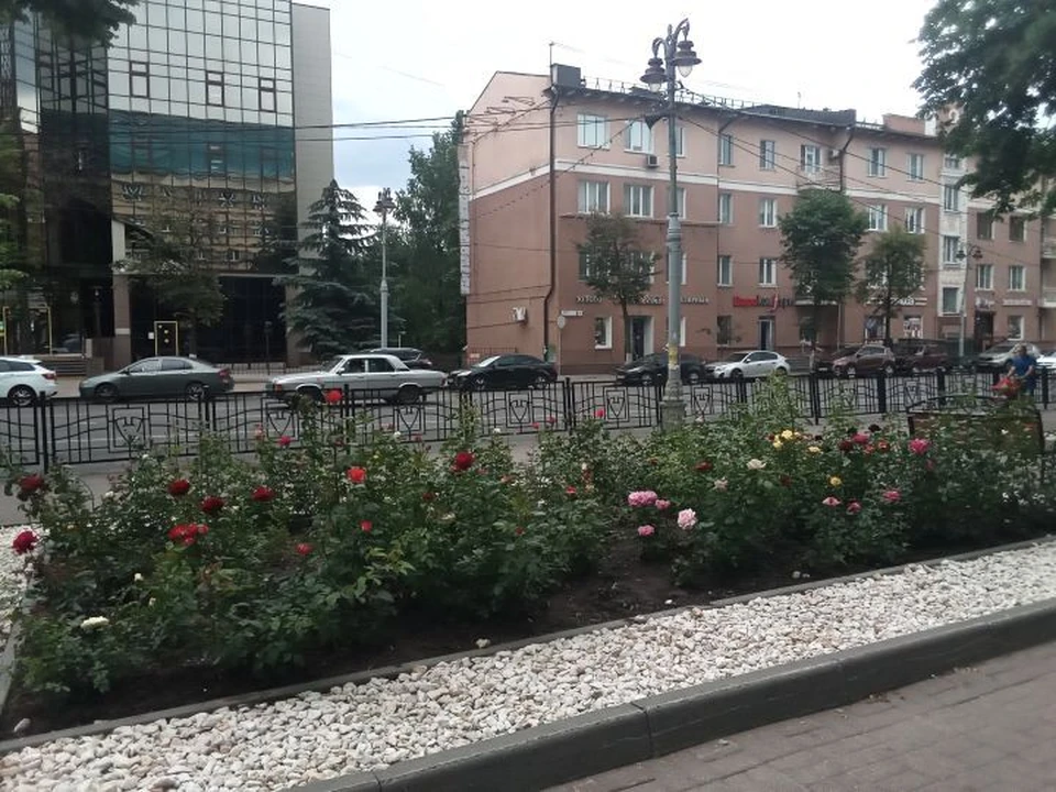 Воры орудуют на городских клумбах