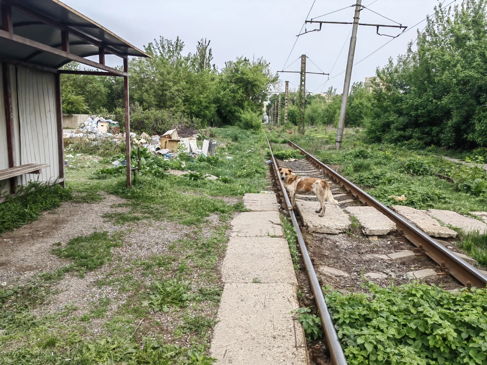 Фото: архив "КП".