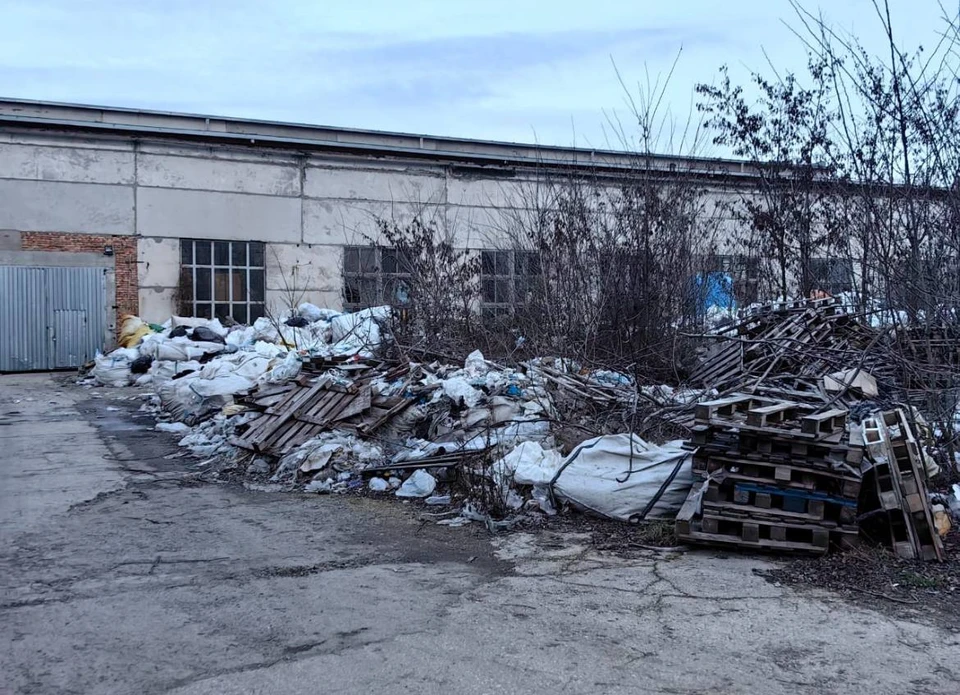 За несанкционированную свалку предприниматель получил предупреждение. Фото: прокуратура Крыма/Tg