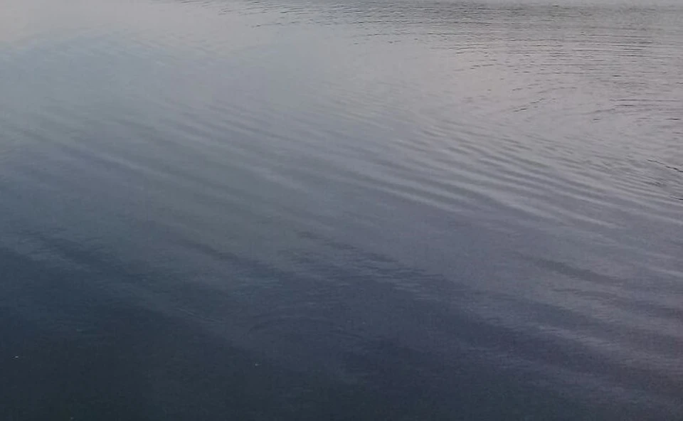 Вода на пляже, расположенном у северной границы водохранилища, загрязнена фекальными отходами.