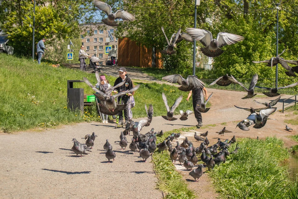 Хорошего дня! Фото: Данил Иванов