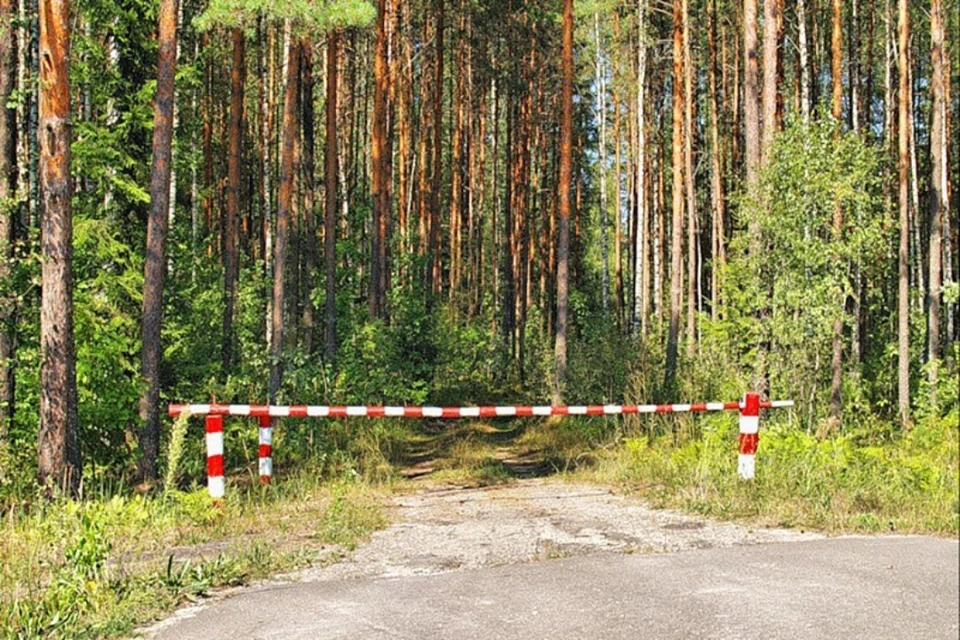На севере Иркутской области введут особый противопожарный режим с 31 мая.