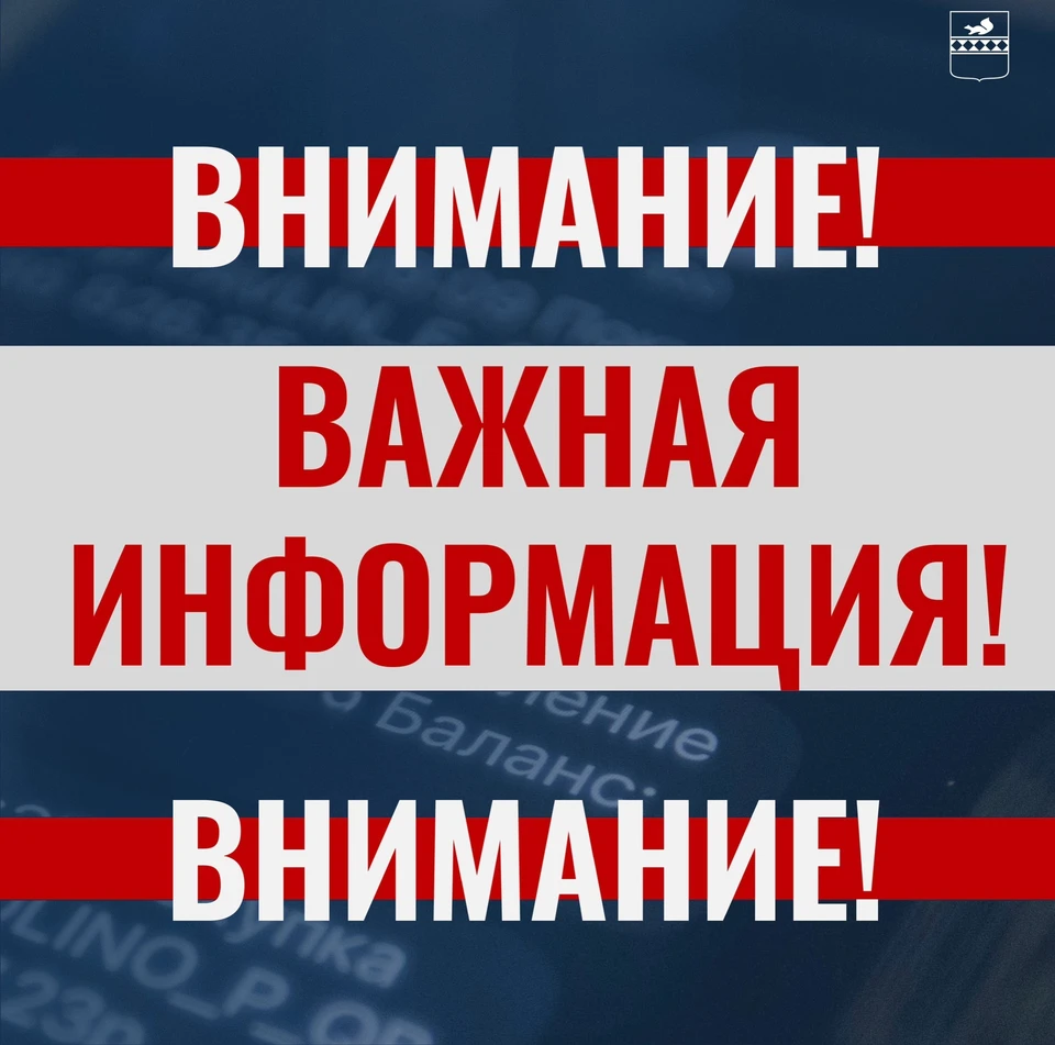 Фото: Кирилл Трапезников