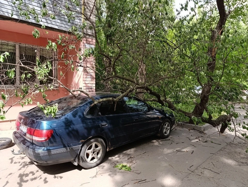 Когда уберут ветку, пока непонятно.
