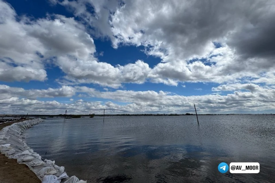 Фото: телеграм-канал Александра Моора