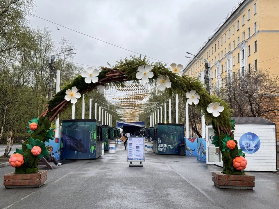 В центре Мурманска, на улице Воровского, открылась гастрономическая ярмарка (0+). Фото: Правительство Мурманской области