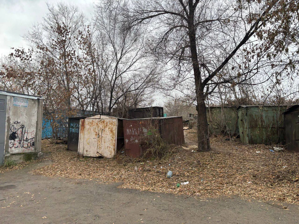 Фото: прокуратура Красноярского края