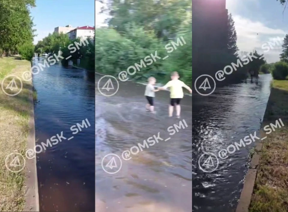 Фото: скриншот с видео телеграм-канала «Новости Омска и Области»