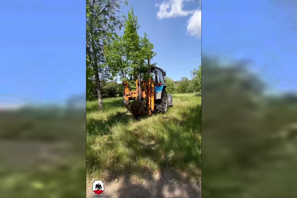 15 деревьев переселили в другую часть парка. Фото: скриншот видео администрации Орска.