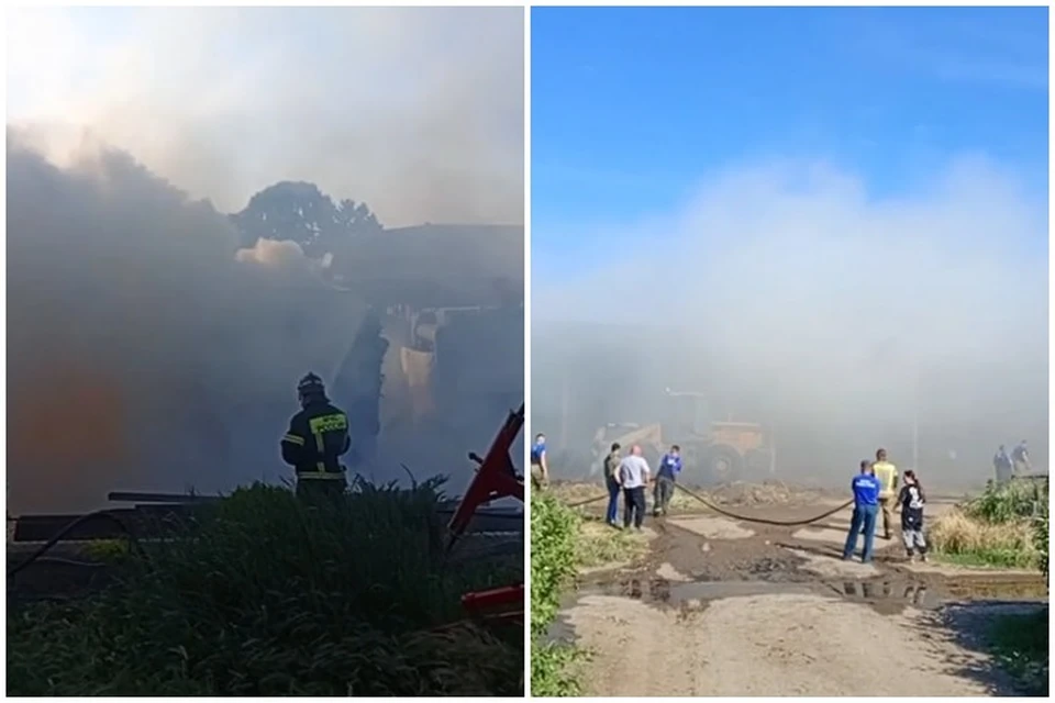 В Гвардейском тушат пожар. Фото: кадр видео ГУ МЧС России по Республике Крым/Tg