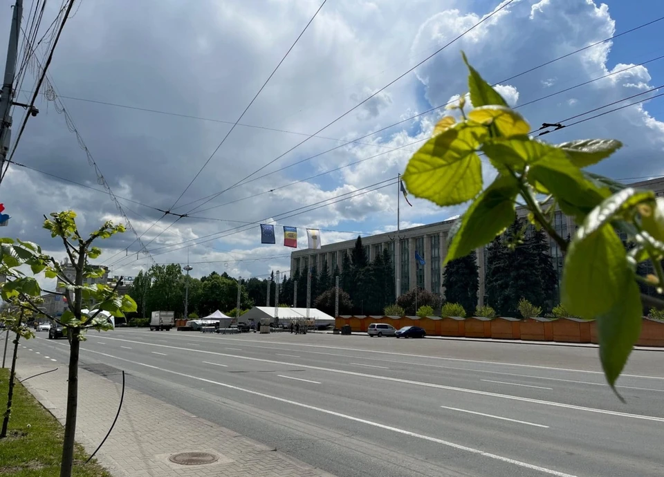 Фото: из архива