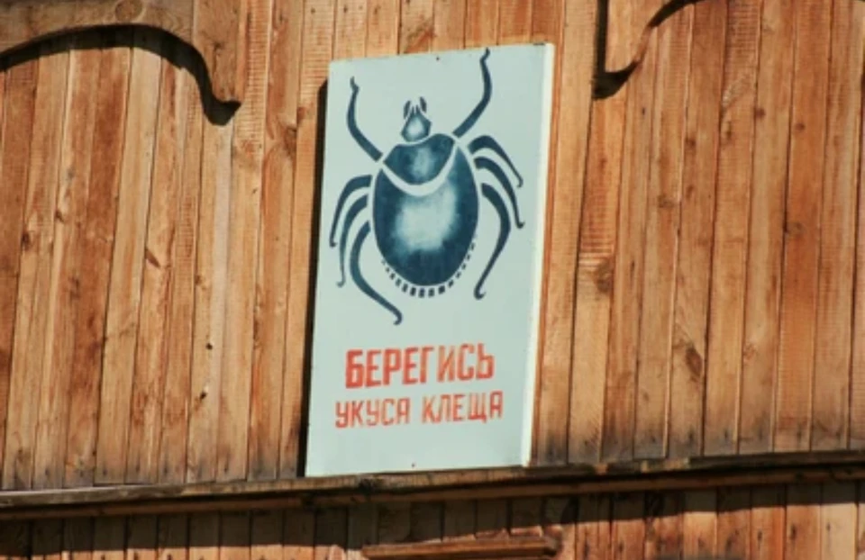 Жителей региона просят быть внимательнее при вылазках на природу.
