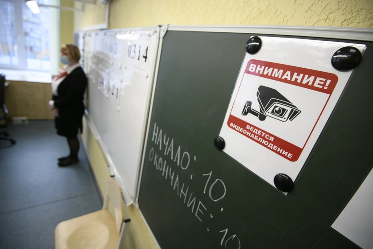 «От волнения и кошку на экзамен принесут»: система ЕГЭ не прощает случайностей и может разрушить судьбы выпускников