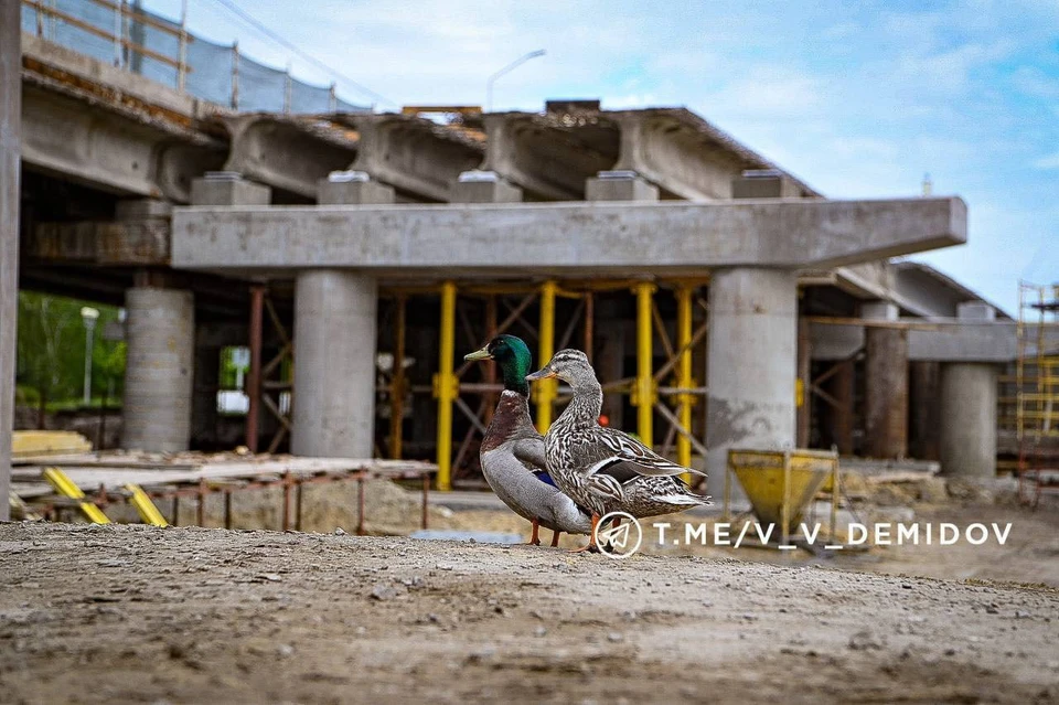 Фото: @v_v_demidov