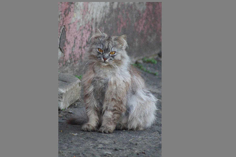 Фото: Светлана ЛОГИНОВА.