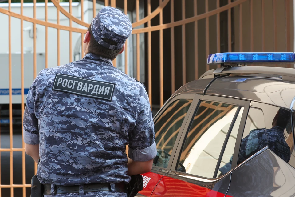 Росгвардия для защиты от дронов усилит охрану и даст сотрудникам новое оружие