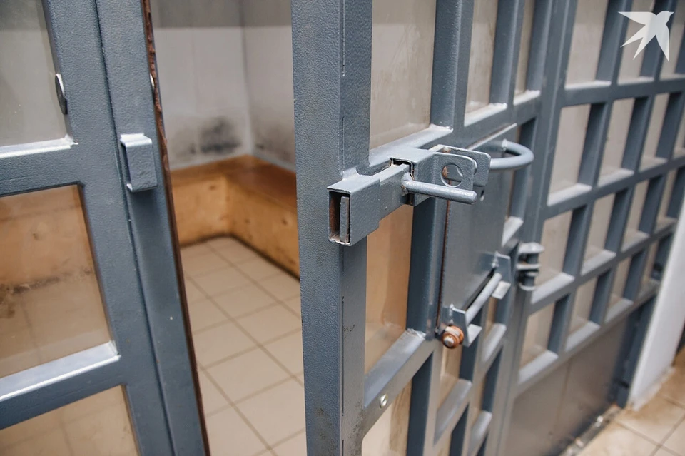 Мужчину приговорили к 8 годам в исправительной колонии строгого режима