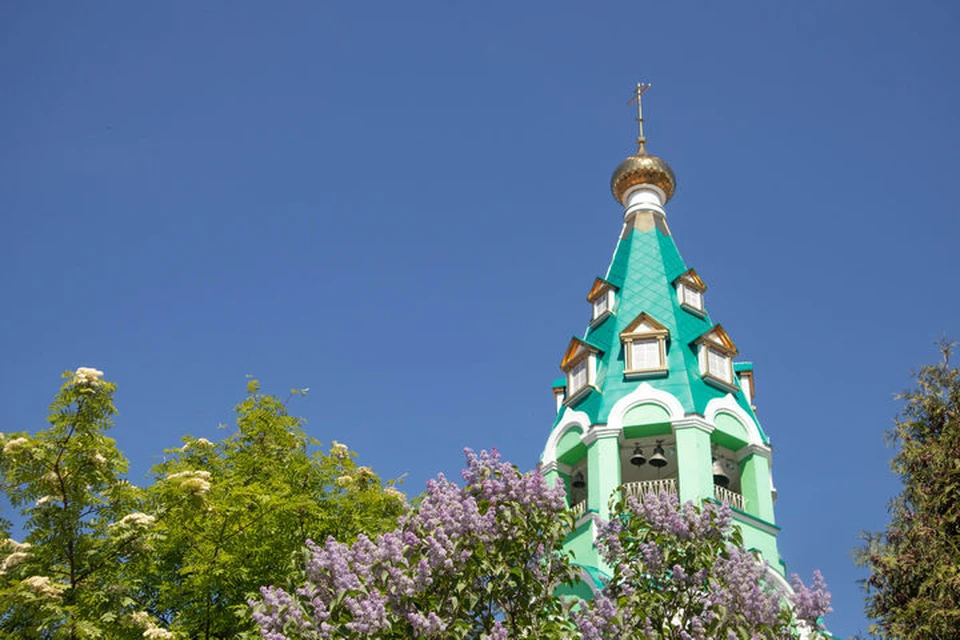 Хорошего дня. Фото: Данил Иванов