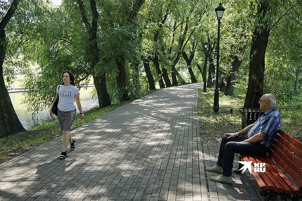 В Екатеринбурге приведут в порядок тысячи деревьев
