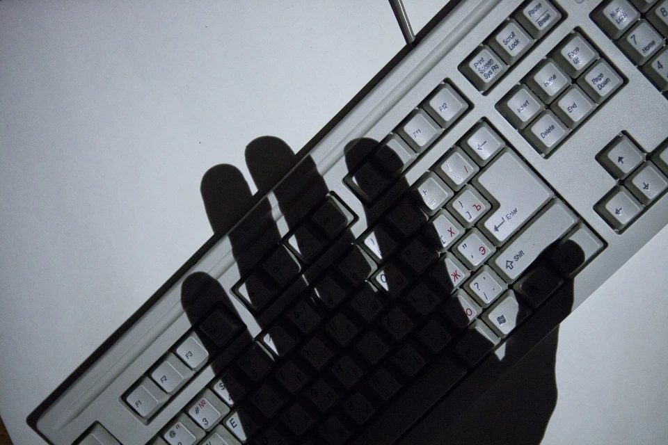 За год в Рязанской области отразили 7 тыс. DDoS-атак на электронные сервисы.