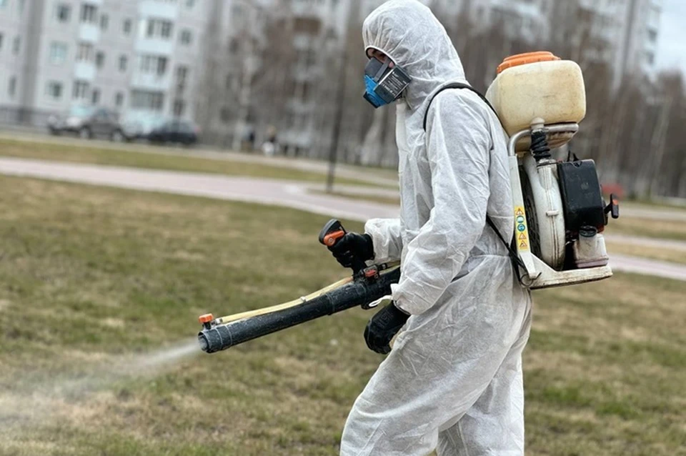 Фото: администрация Сургута