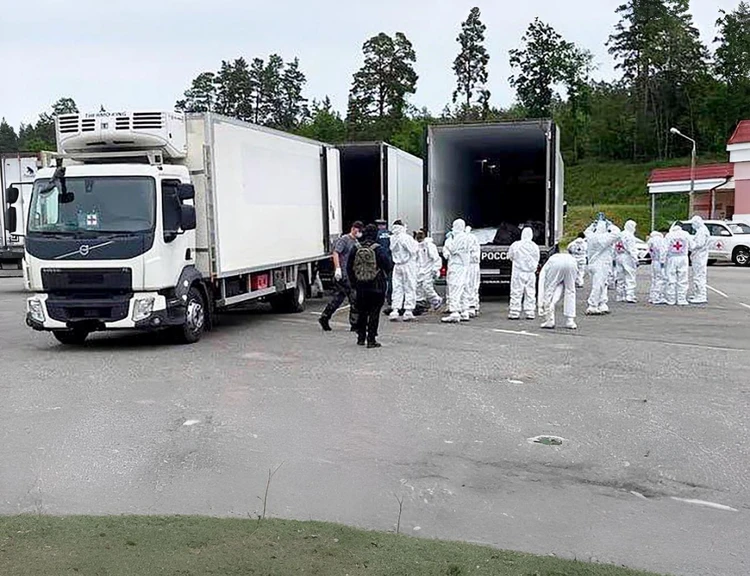 Украина забрала 1212 тел и вернула России 27 погибших: военкор Коц объяснил, зачем Киев затягивал обмен телами солдат