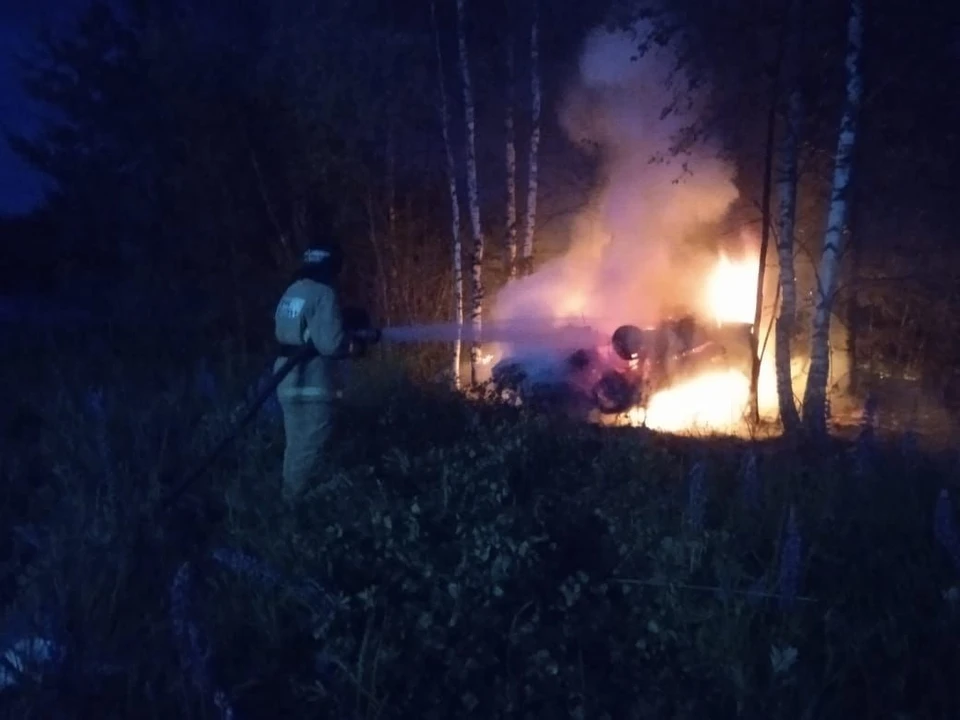 Фото: ГУ МЧС России по Владимирской области