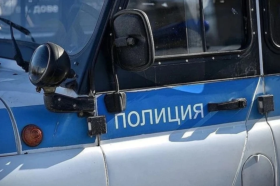 Зоозащитники написали заявление в полицию.