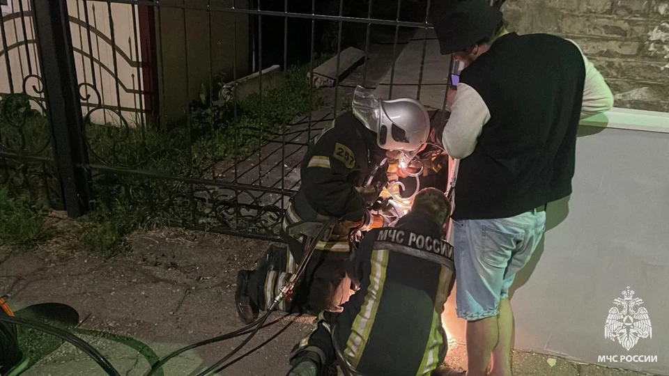 Попавшей в ловушку собаке помогли огнеборцы в Новомосковске Тульской области