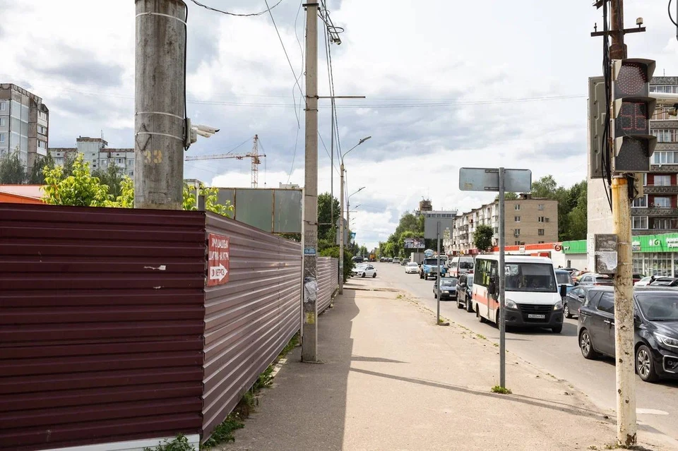 Фото: Александр Новиков