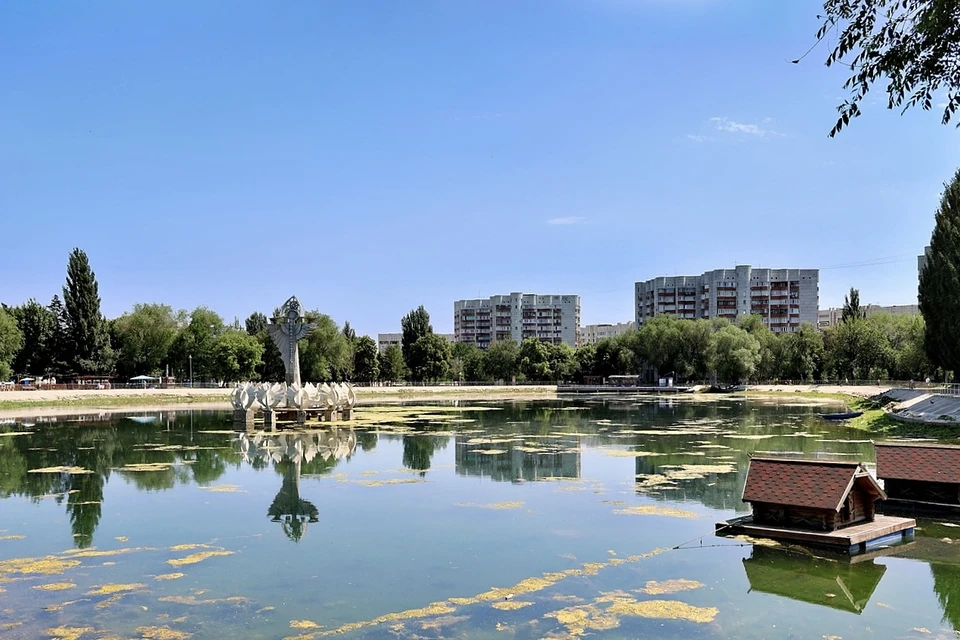 Рыбы должны помочь очистить водоем от водорослей. Фото: администрация Самары