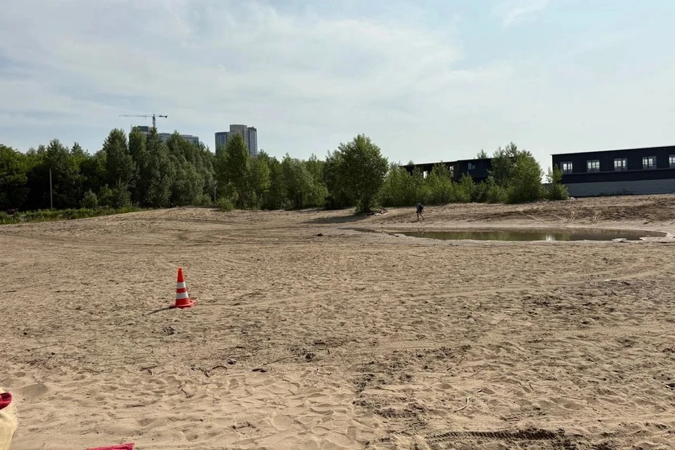 На новосибирском пляже автомобиль наехал на женщину. Фото: ГАИ Новосибирской области