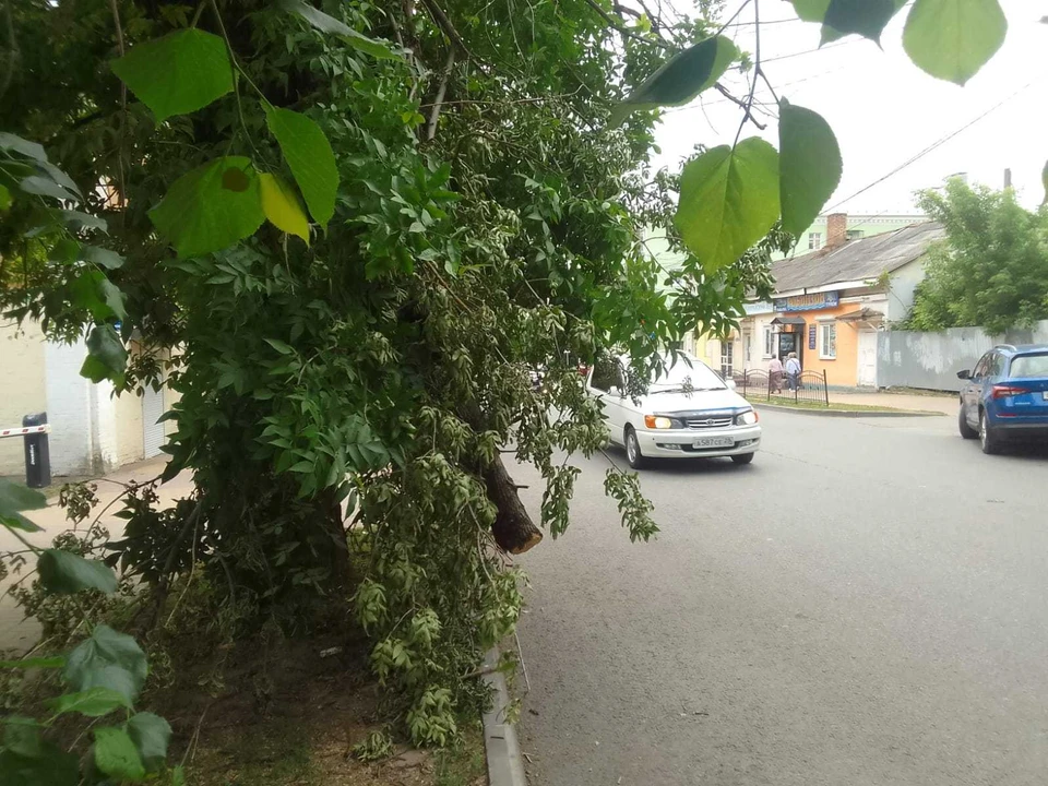 В Калуге над автодорогой нависает опасная ветка.