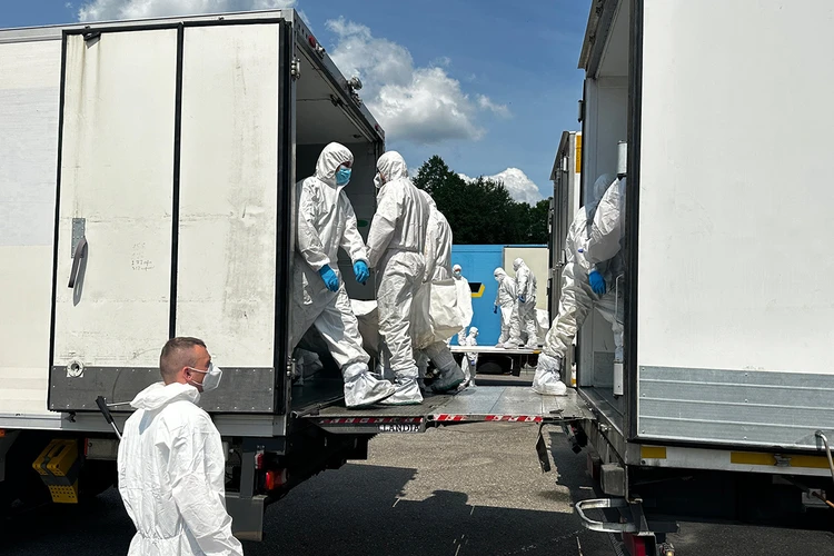 Россия завершила передачу тел погибших бойцов ВСУ и сделала предложение Украине: к такому Киев оказался не готов