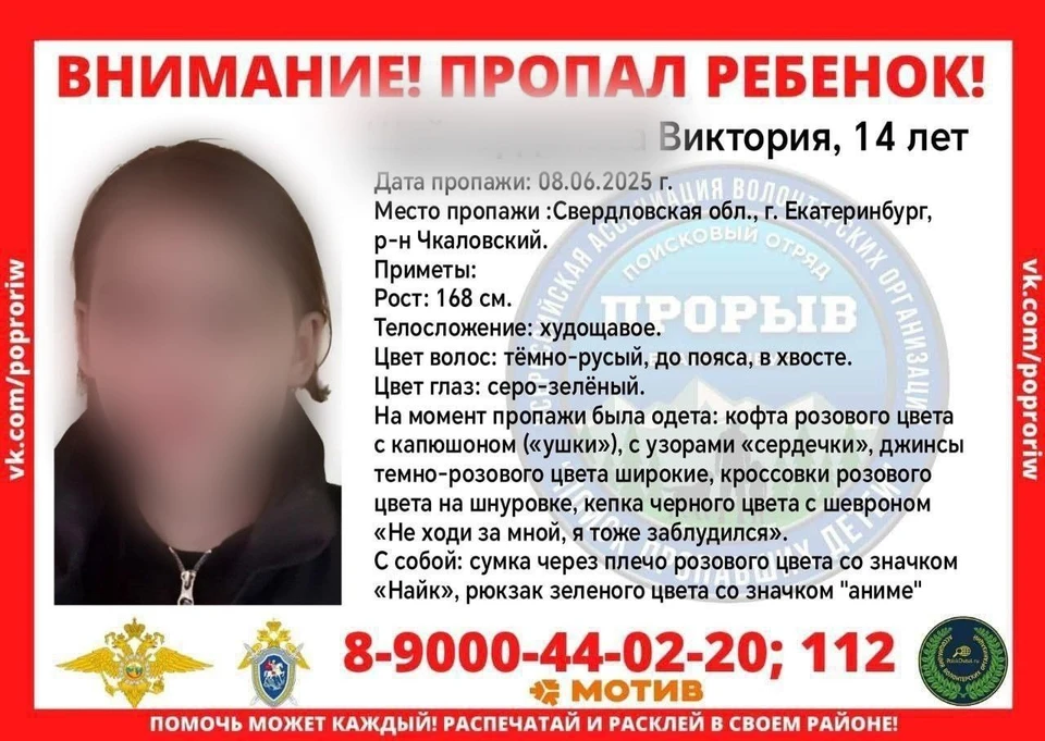 Девочку искали волонтеры и полиция. Фото: Соцсети