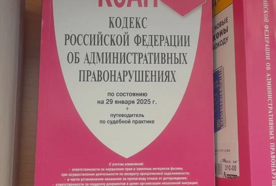 В соответствии с ч.1 ст. 20.1 КоАП РФ (Мелкое хулиганство) двум собутыльникам - 29-летнему и 61-летнему - грозят штрафы от 500 до 1 000 рублей.