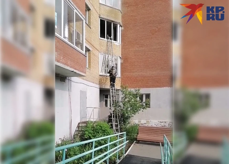 Фото предоставлено очевидцем.