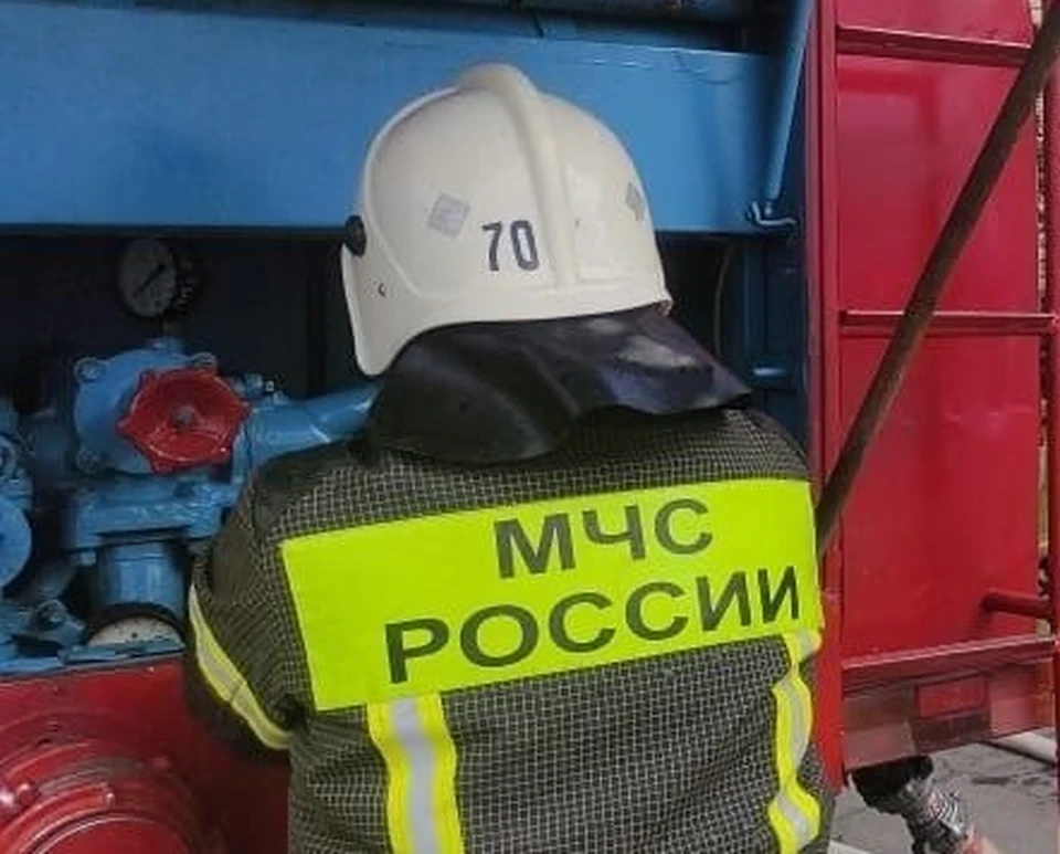 Фото: ГУ МЧС России по Омской области