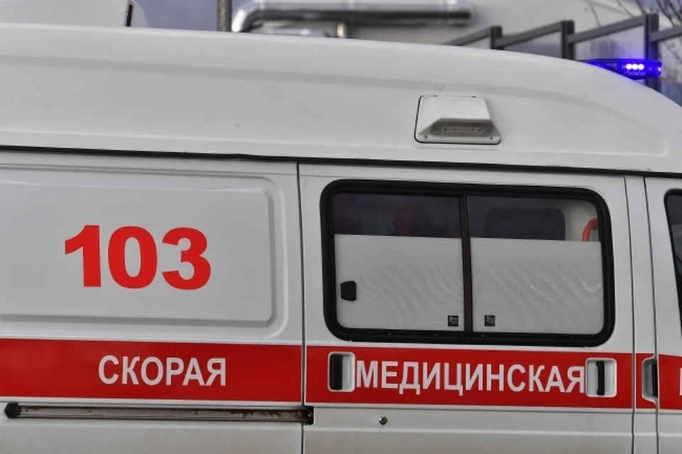 Инцидент произошёл во дворе жилого дома в частном секторе.