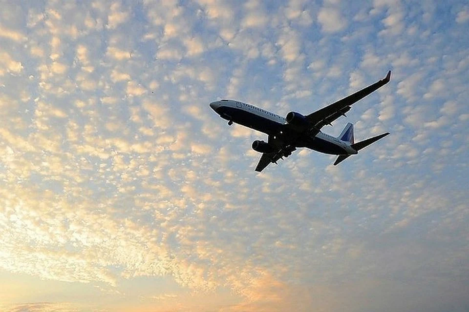 Оса задержала вылет рейса Хабаровск-Москва