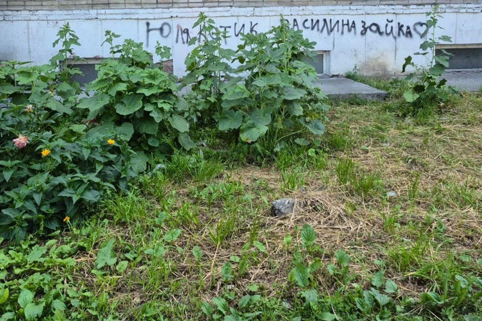 Девочка упала на траву. Фото: предоставлено очевидцами