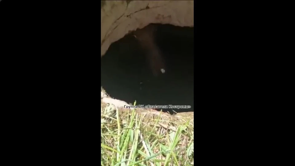 Фото: ОГБУ "ПСС"
