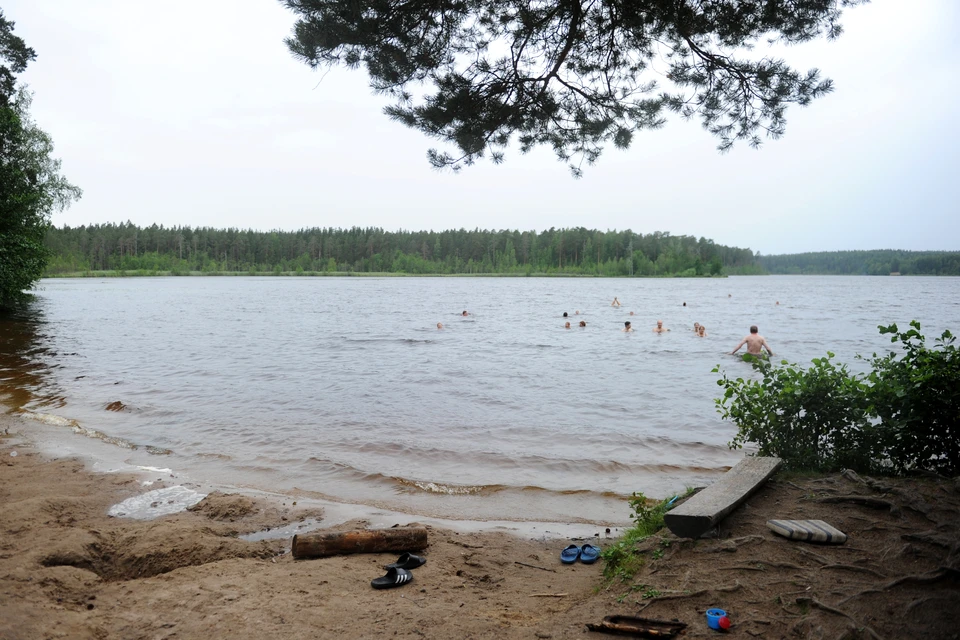 Комплекс расположен в живописной части Курортного района.