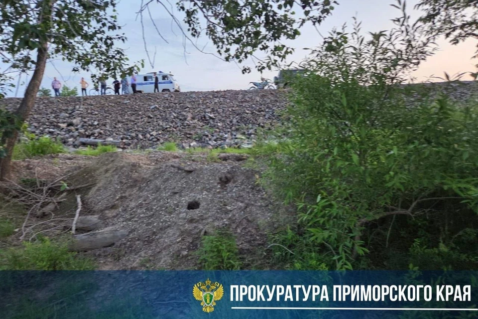 Волонтеры и специалисты начали поисковую операцию. Фото: прокуратура Приморского края