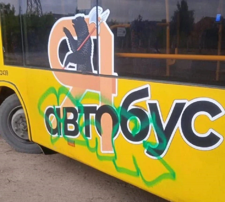 Художественный талант подростка не оценили. Фото: телеграм-канал Романа Душко.