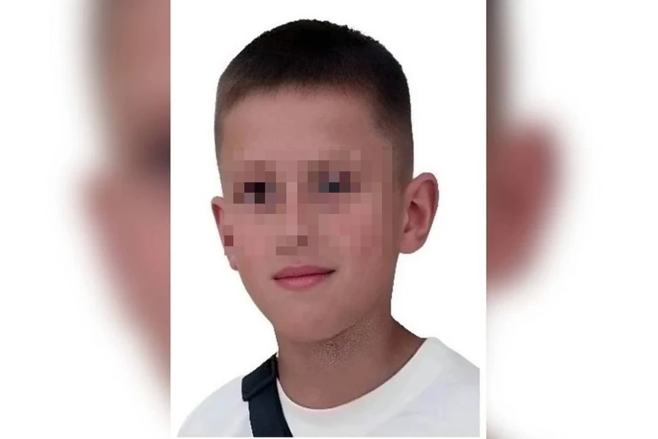 В Новосибирской области ищут 11-летнего мальчика в красной кофте. Фото: ДПСО "ЛизаАлерт" Новосибирской области