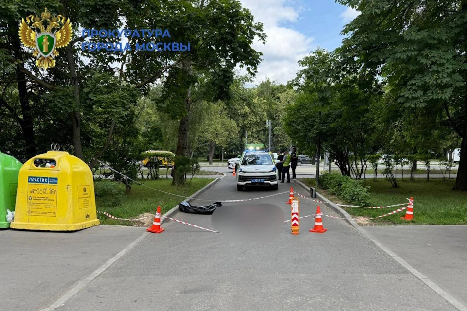 Суд арестовал водителя грузовика, насмерть сбившему пенсионерку в Южном Тушино